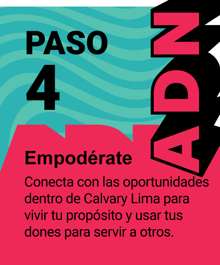11-paso4