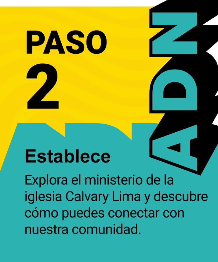 8-paso2